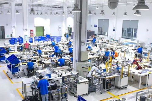 燈塔工廠的另類 科技公司阿里和它的犀牛工廠