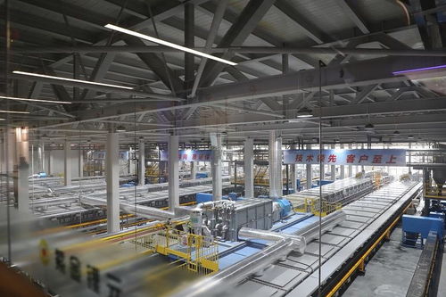smm探秘新能源產業超級工廠 福建紫金鋰元材料科技考察