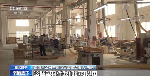 預計每年取代50萬噸塑料制品 高科技負碳材料生產基地落戶湖北咸寧