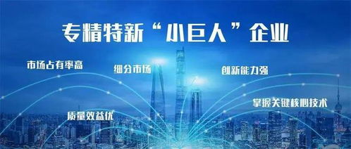 小巨人 企業 3,總量全市第一