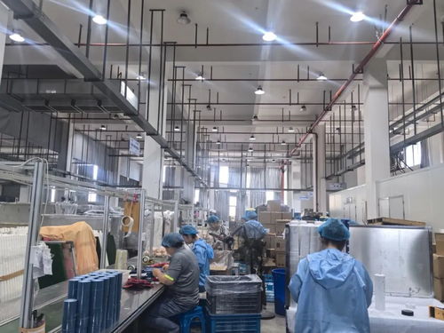 江蘇獨(dú)角獸企業(yè)和瞪羚企業(yè)名單,高淳18家